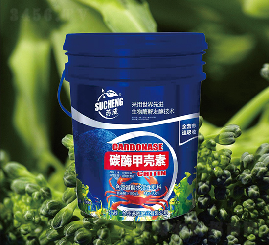 ̼ø�ך���-�K�ɷʘI(y��)