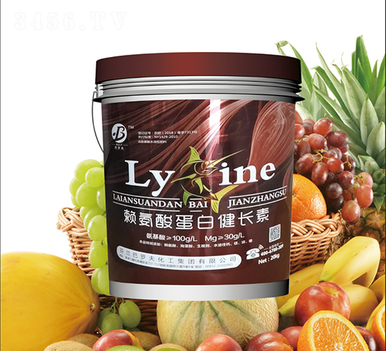 ه���ᵰ�׽��L��-���_��-�K�ɷʘI(y��)