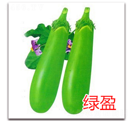 �Gӯ-�L�ѷN��-�|�Z�r(n��ng)�I(y��)