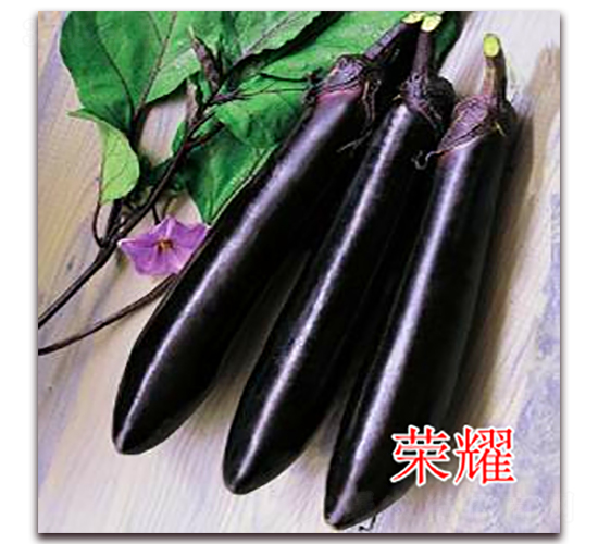 �sҫ-�L�ѷN��-�|�Z�r�I(y��)