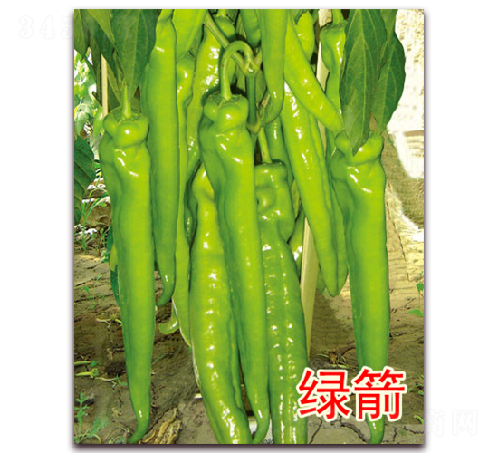 �G��-�����N��-�|�Z�r(n��ng)�I(y��)