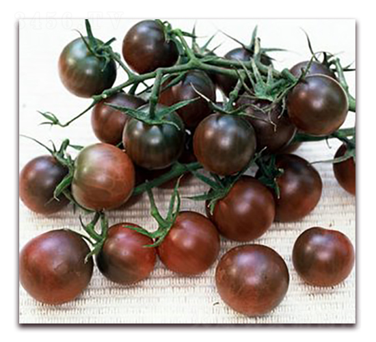 ���ᭇ-��ɫ���ҷ��ѷN��-�|�Z�r�I(y��)