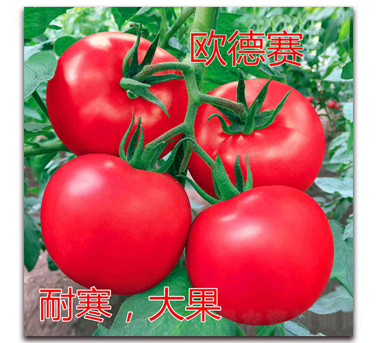 �W��ِ-�۹����ѷN��-�|�Z�r(n��ng)�I(y��)