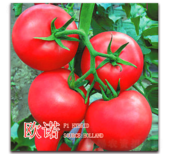 �W�Z�������ͣ�-�۹����ѷN��-�|�Z�r(n��ng)�I(y��)