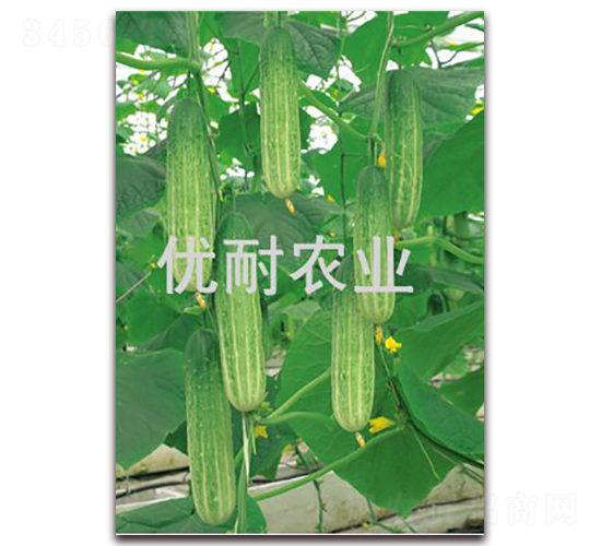 ��(y��u)��901-�S�ϷN��-��(y��u)���r�I(y��)