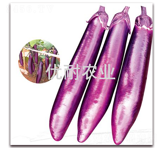 ��(y��u)�ͼt��2013-���ӷN��-��(y��u)���r(n��ng)�I(y��)