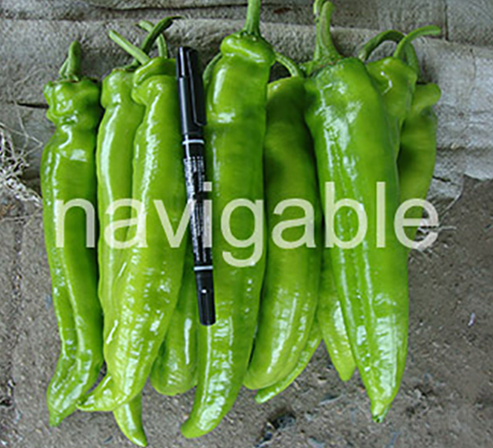 �����R-�⽷�N��-����