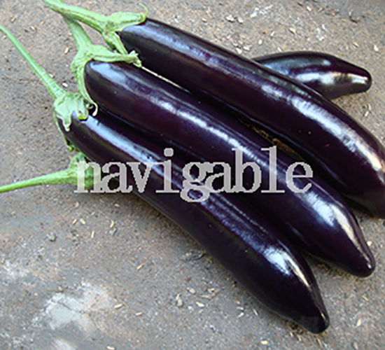 8114-���ӷN��-����