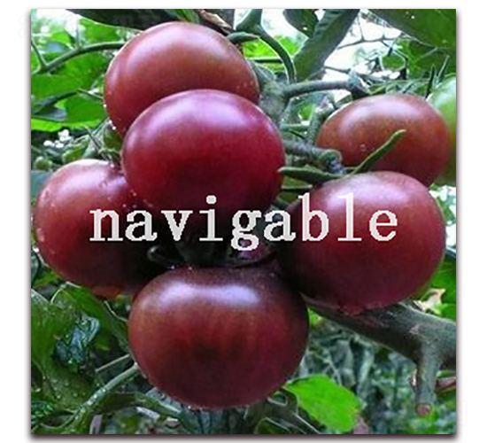 ��ؐ��-���ҷ��ѷ��ѷN��-����