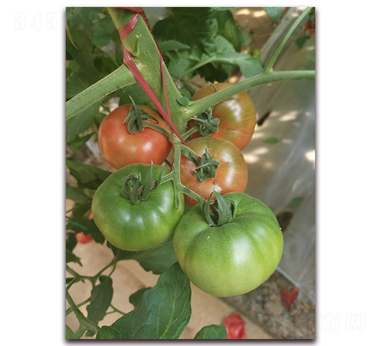 ���F��-�۹����ѷN��-����