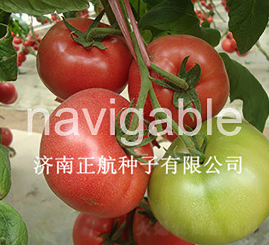 �����-�۹����ѷN��-����