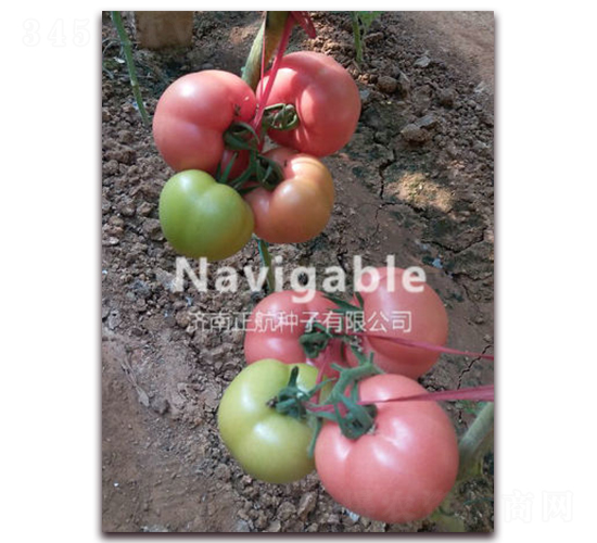 �������h-�۹����ѷN��-����