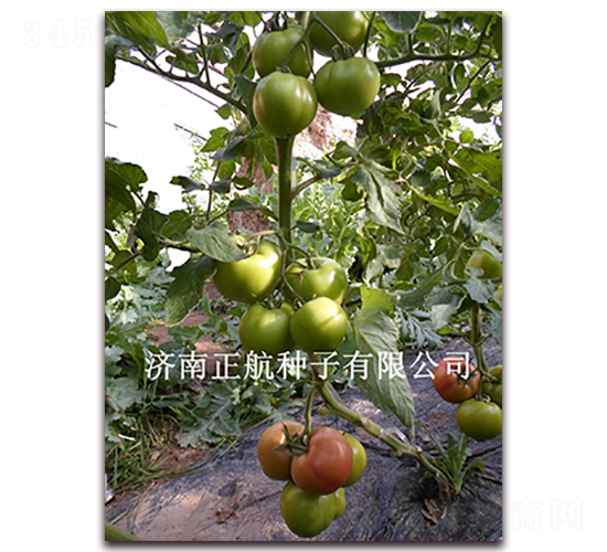 ����-�۹����ѷN��-����