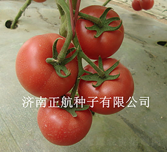 ���m����-�۹����ѷN��-����