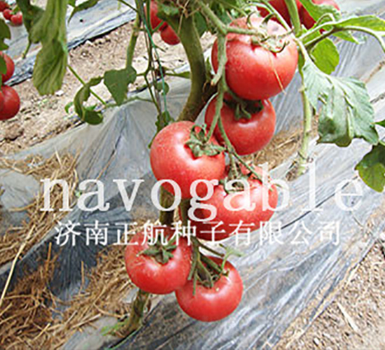 ��ϲ131-�۹����ѷN��-����