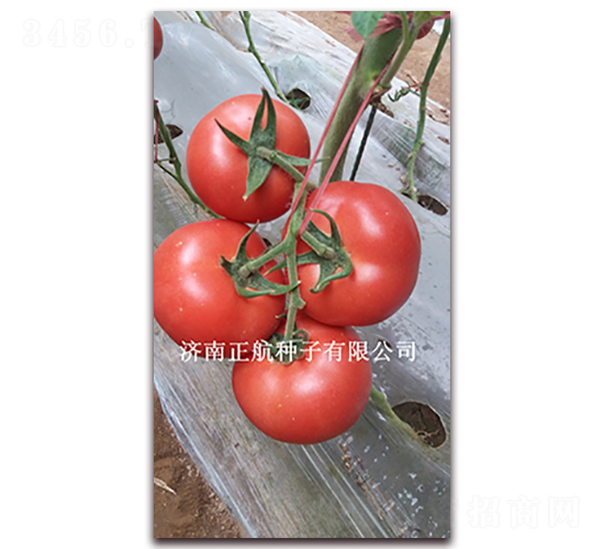 ����-�۹����ѷN��-����