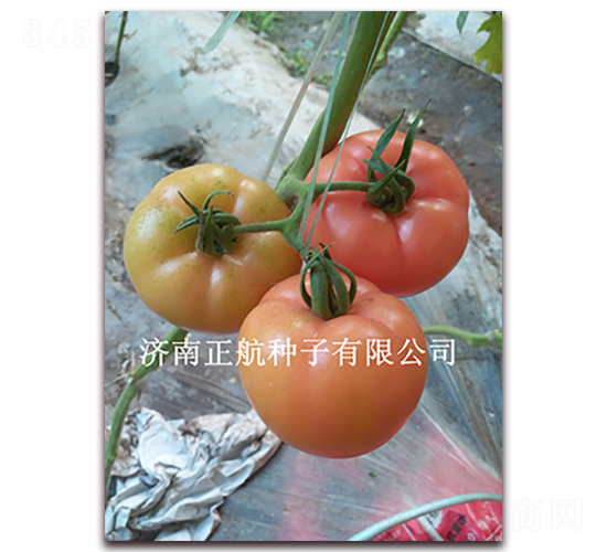 1789-�۹����ѷN��-����