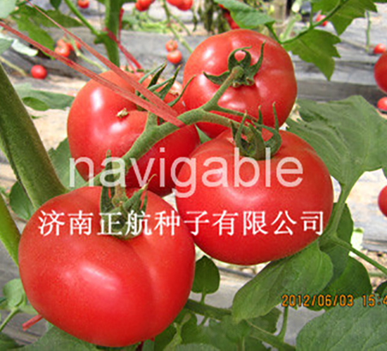 1788-�۹����ѷN��-����