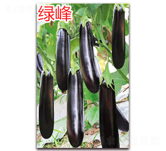 �G��-���ӷN��-�f���r(n��ng)�I(y��)