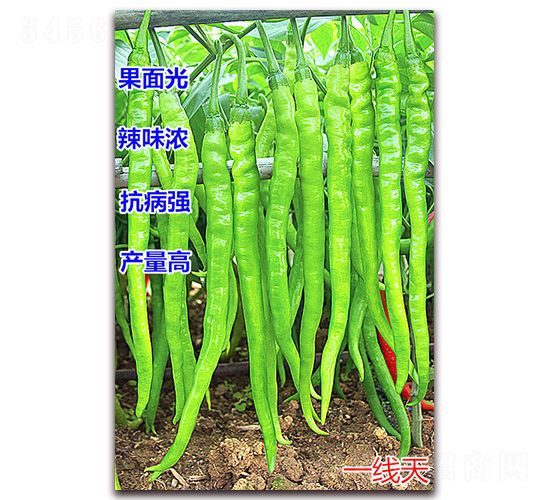 һ����-�����N��-�f���r(n��ng)�I(y��)