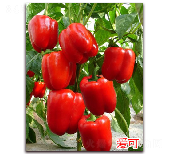 ��(��i)��-�����N��-�f(w��n)���r(n��ng)�I(y��)