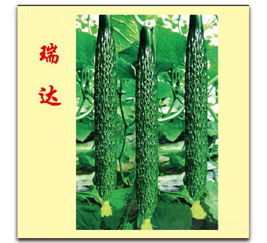 ���_(d��)-�S�ϷN��-�f���r(n��ng)�I(y��)