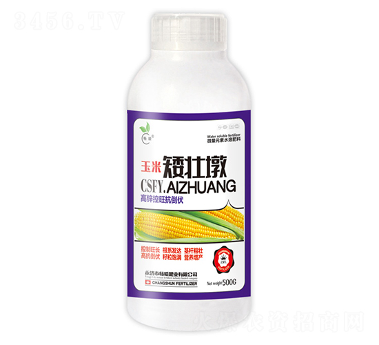 500g���װ��Ѷ�-��˲