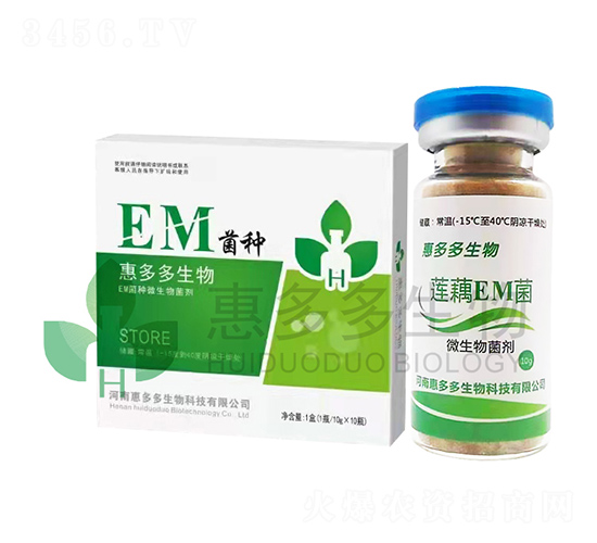 ɏźEM���N-�ݶ��