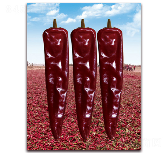 �t�l(f��)���彷-�����N��-�t�l(f��)�N�I(y��)