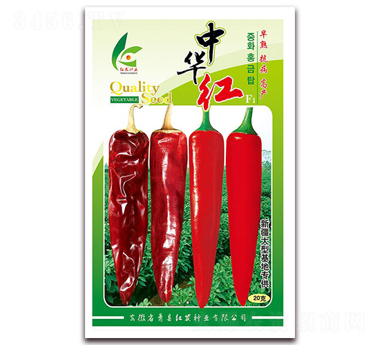 ���A�t-�����N��-�t�l(f��)�N�I(y��)