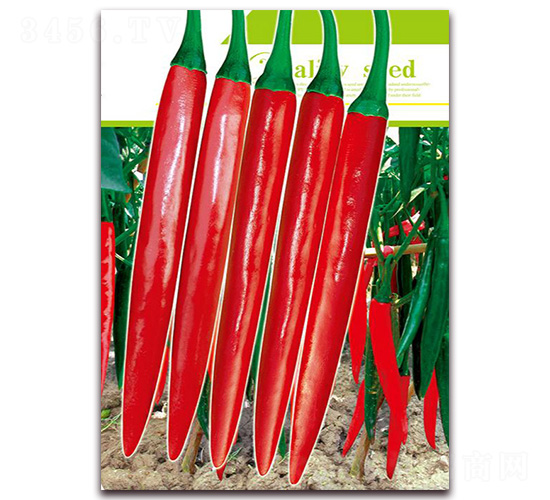 ���n404-�����N��-�t�l(f��)�N�I(y��)