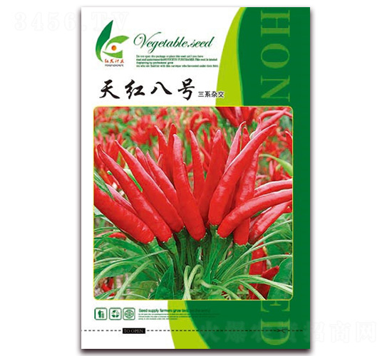 ��t��̖-�����N��-�t�l(f��)�N�I(y��)