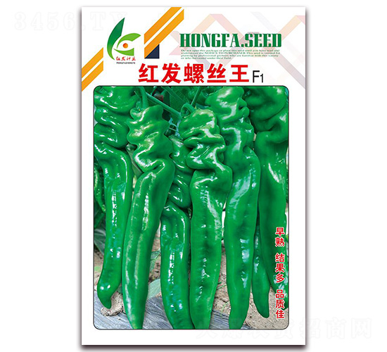 �t�l(f��)�ݽz��-�����N��-�t�l(f��)�N�I(y��)