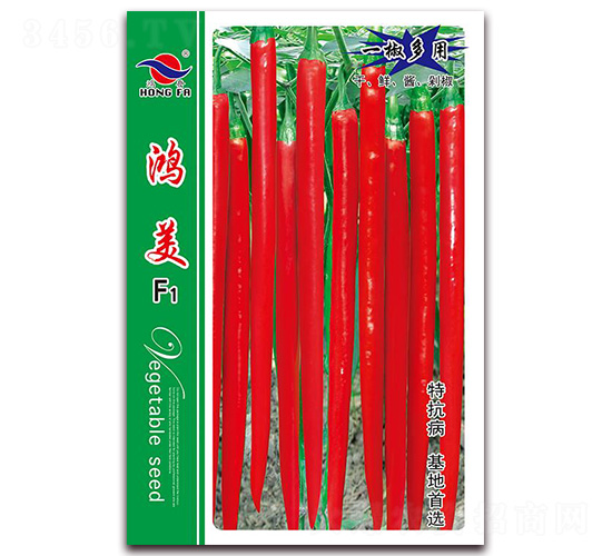 ����-�����N��-�t�l(f��)�N�I(y��)