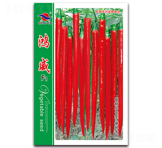 ����-�����N��-�t�l(f��)�N�I(y��)