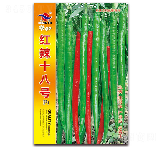 �t��ʮ��̖(h��o)-�����N��-�t�l(f��)�N�I(y��)