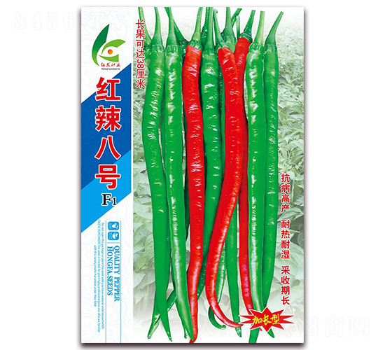 �t����̖-�����N��-�t�l(f��)�N�I(y��)