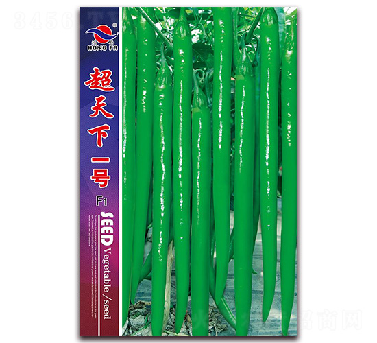 ������һ̖-�����N��-�t�l(f��)�N�I(y��)