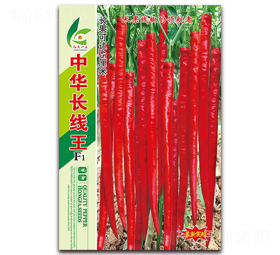 ���A�L����-�����N��-�t�l(f��)�N�I(y��)