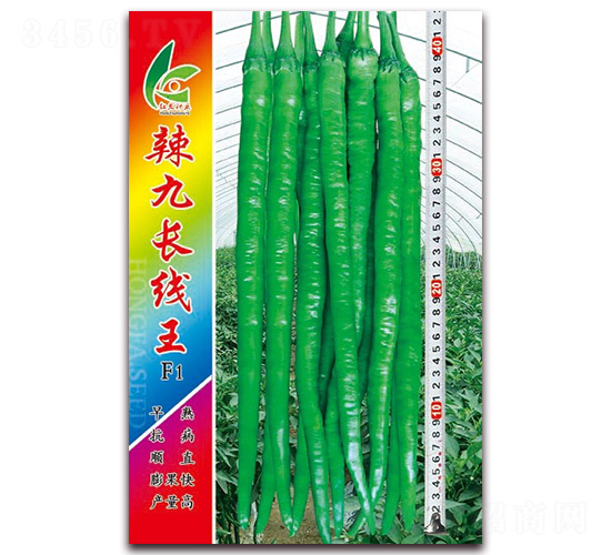 �����L(zh��ng)����-�����N��-�t�l(f��)�N�I(y��)