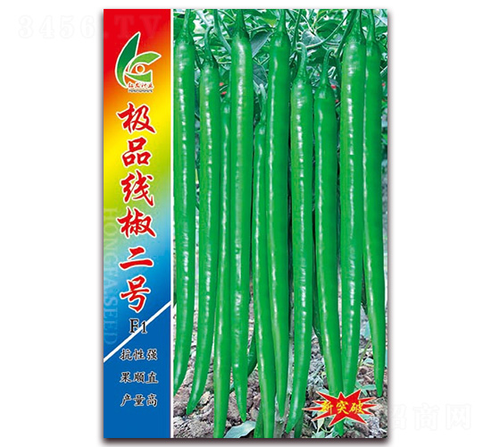 �OƷ������̖-�����N��-�t�l(f��)�N�I(y��)