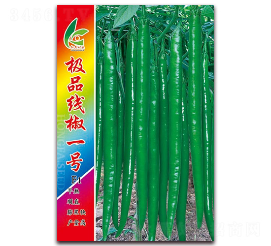 �OƷ����һ̖-�����N��-�t�l(f��)�N�I(y��)