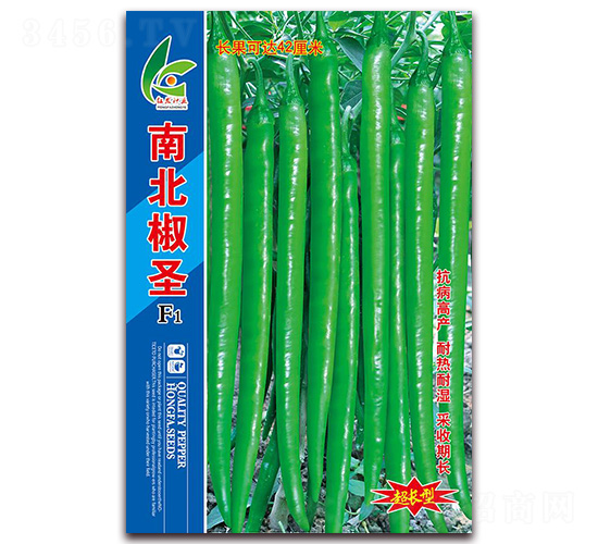 �ϱ���ʥ-��(xi��n)���N��-�t�l(f��)�N�I(y��)