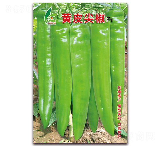 �SƤ�⽷-�⽷�N��-�t�l(f��)�N�I(y��)