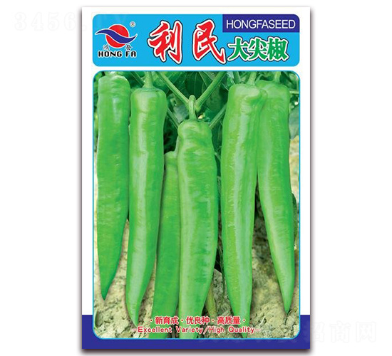 �����⽷-�⽷�N��-�t�l(f��)�N�I(y��)