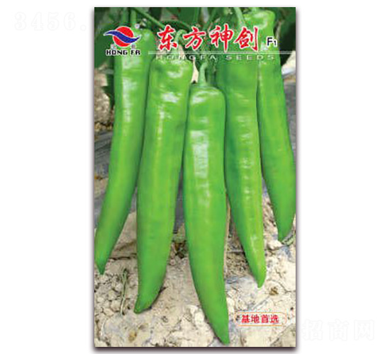 �|����F1-�⽷�N��-�t�l(f��)�N�I(y��)