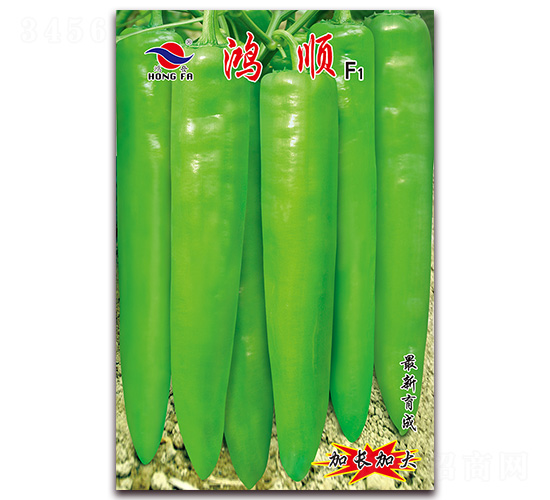 ���-�⽷�N��-�t�l(f��)�N�I(y��)