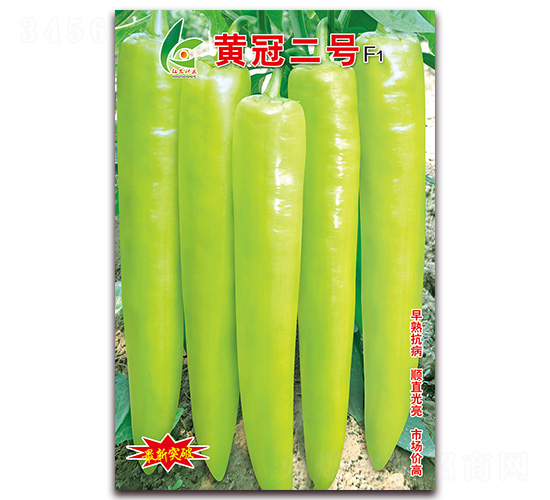 �S�ڶ�̖-�⽷�N��-�t�l(f��)�N�I(y��)