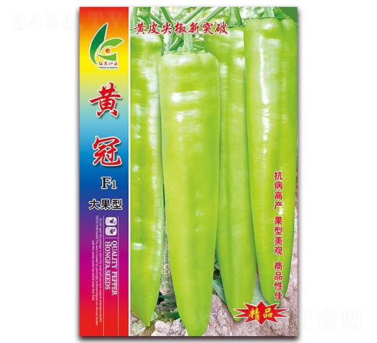 �S��-�⽷�N��-�t�l(f��)�N�I(y��)