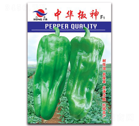 ���A����-��Ƥ�ݽ��N��-�t�l(f��)�N�I(y��)